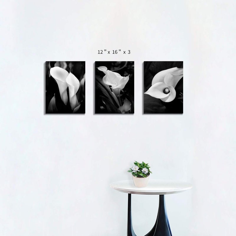 Hardy Gallery Floral Artwork Flower Painting Picture: Calla-Lily Print on Canvas Set for Wall Art (16â€x12â€x3pcs) - Image 2